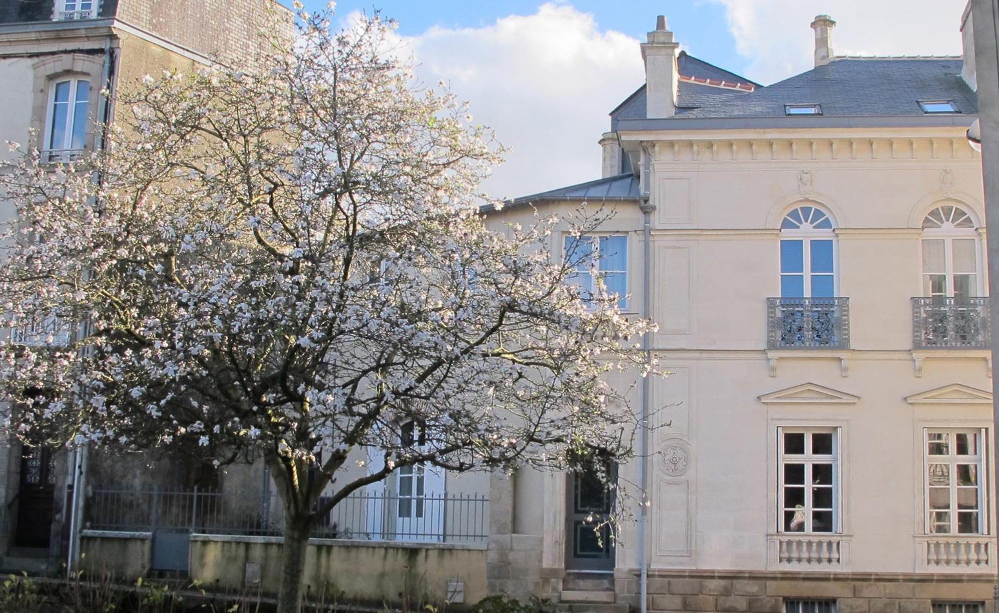 Une Suite A Vannes Buitenkant foto